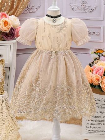 فستان سهرة شبكي بأكمام منتفخة مطرز بشكل دراماتيكي عالي الجودة للفتيات من SHEIN